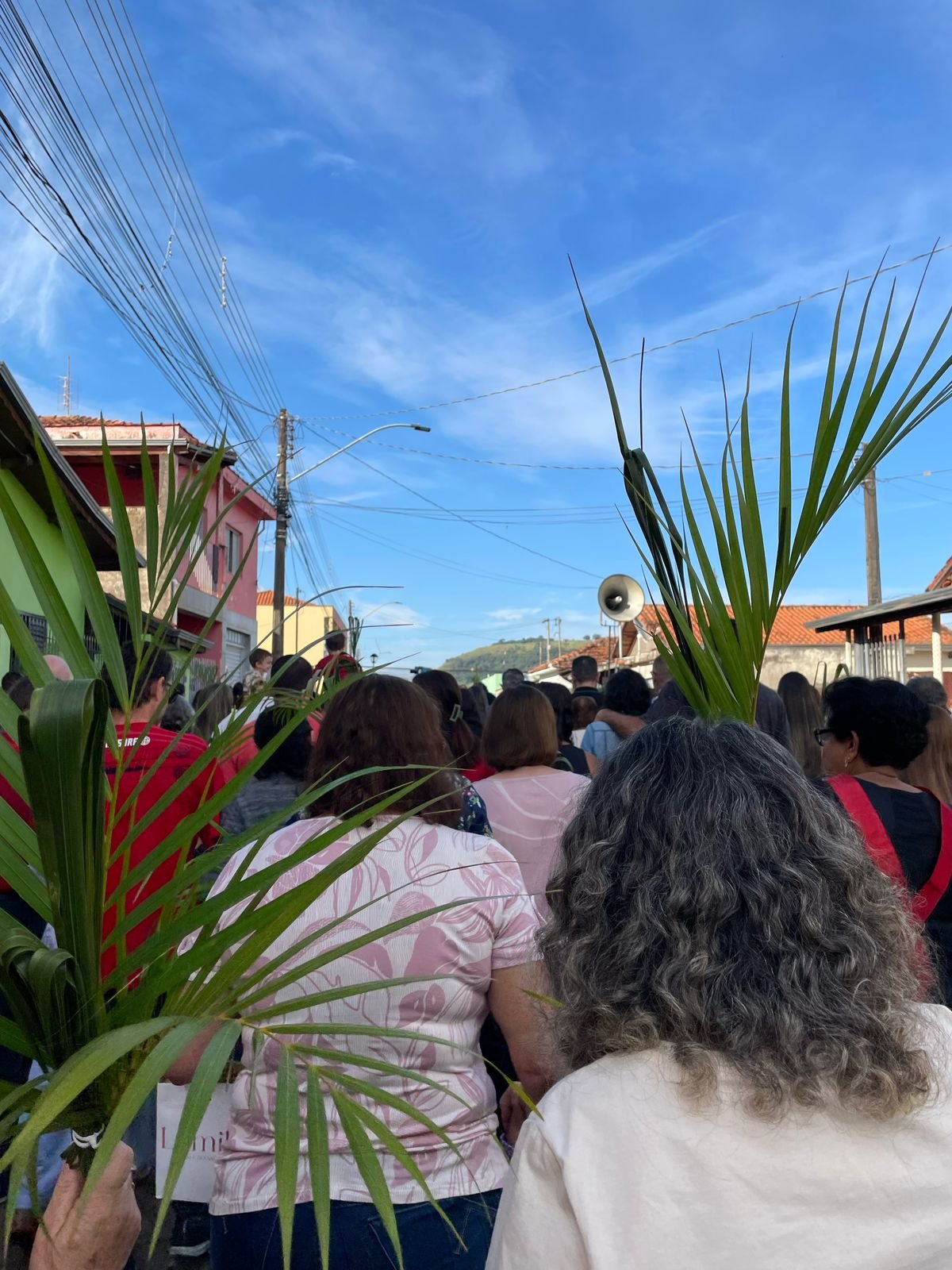 Domingo de Ramos 2025 - Procissão e missa